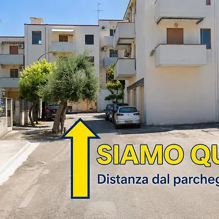 Bellissima Santa Barbara رودي غارغانيكو